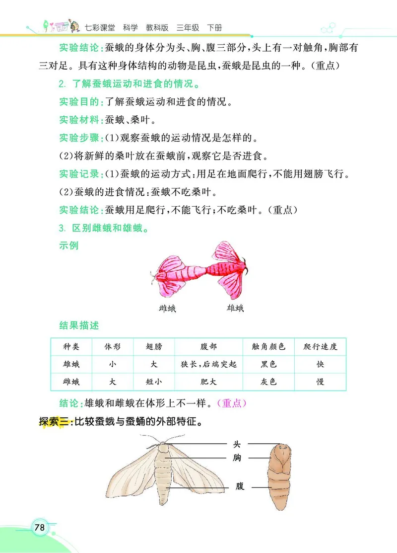 《七彩课堂》科学3年级下册（教科版）_三年级上下册资料_小学三年级学习资料-25年更新版_3-10、小学三年级科学下册_教科版_电子册类