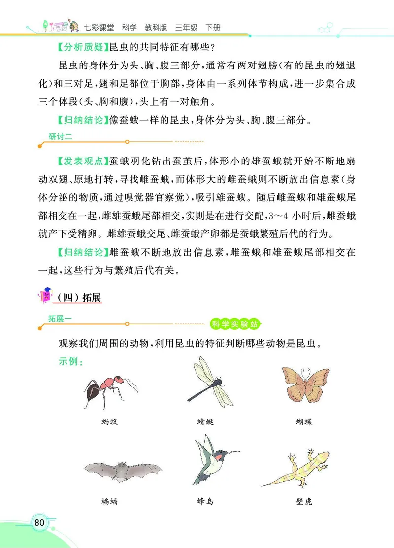 《七彩课堂》科学3年级下册（教科版）_三年级上下册资料_小学三年级学习资料-25年更新版_3-10、小学三年级科学下册_教科版_电子册类