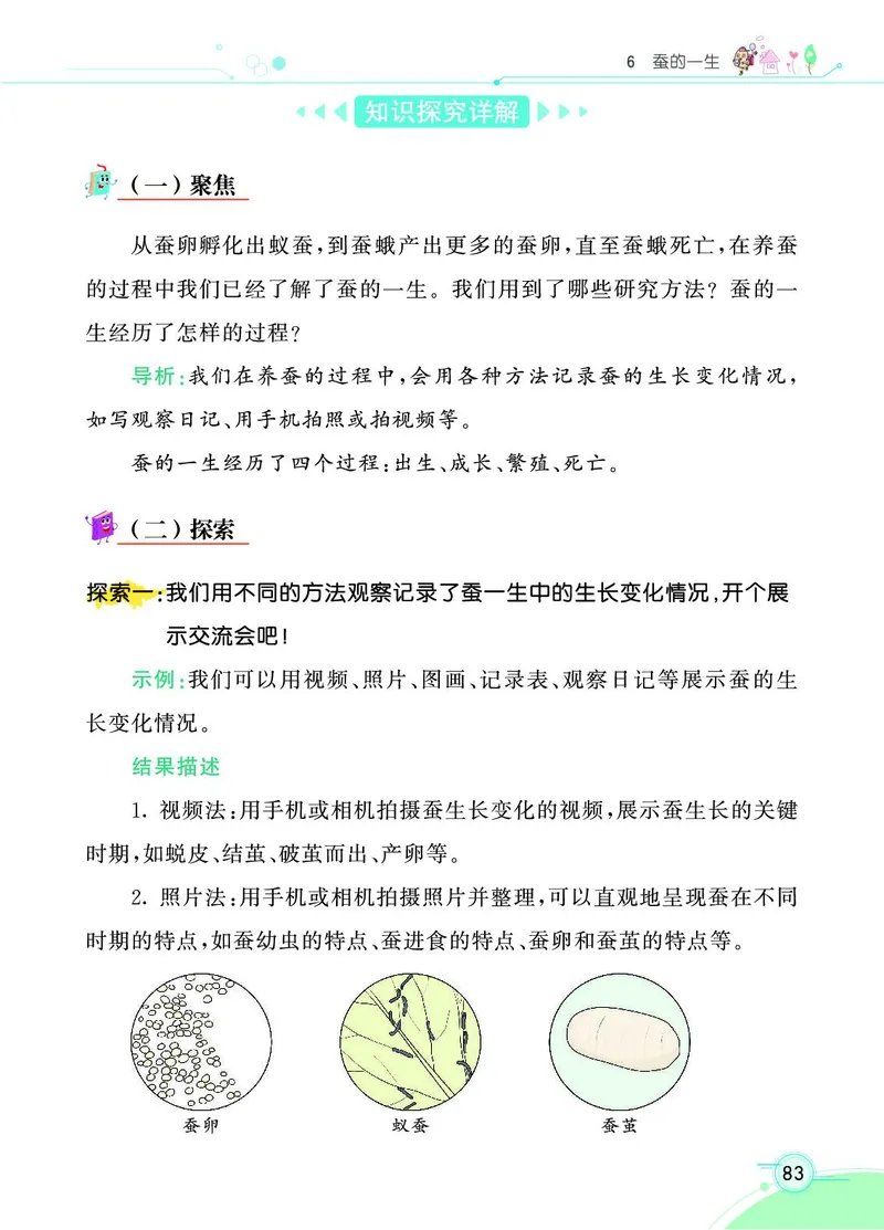 《七彩课堂》科学3年级下册（教科版）_三年级上下册资料_小学三年级学习资料-25年更新版_3-10、小学三年级科学下册_教科版_电子册类