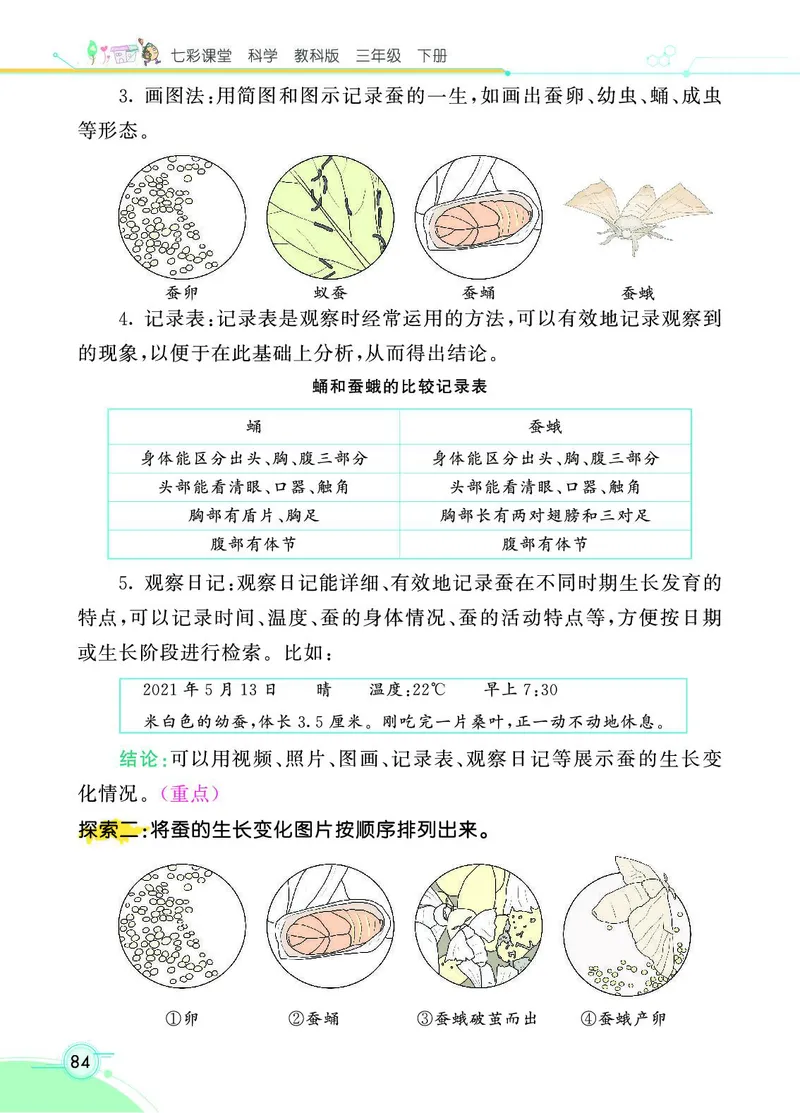 《七彩课堂》科学3年级下册（教科版）_三年级上下册资料_小学三年级学习资料-25年更新版_3-10、小学三年级科学下册_教科版_电子册类