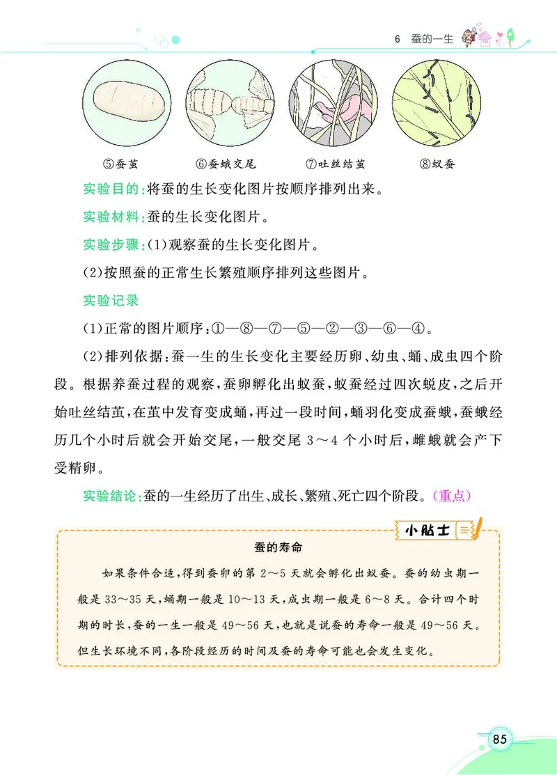 《七彩课堂》科学3年级下册（教科版）_三年级上下册资料_小学三年级学习资料-25年更新版_3-10、小学三年级科学下册_教科版_电子册类