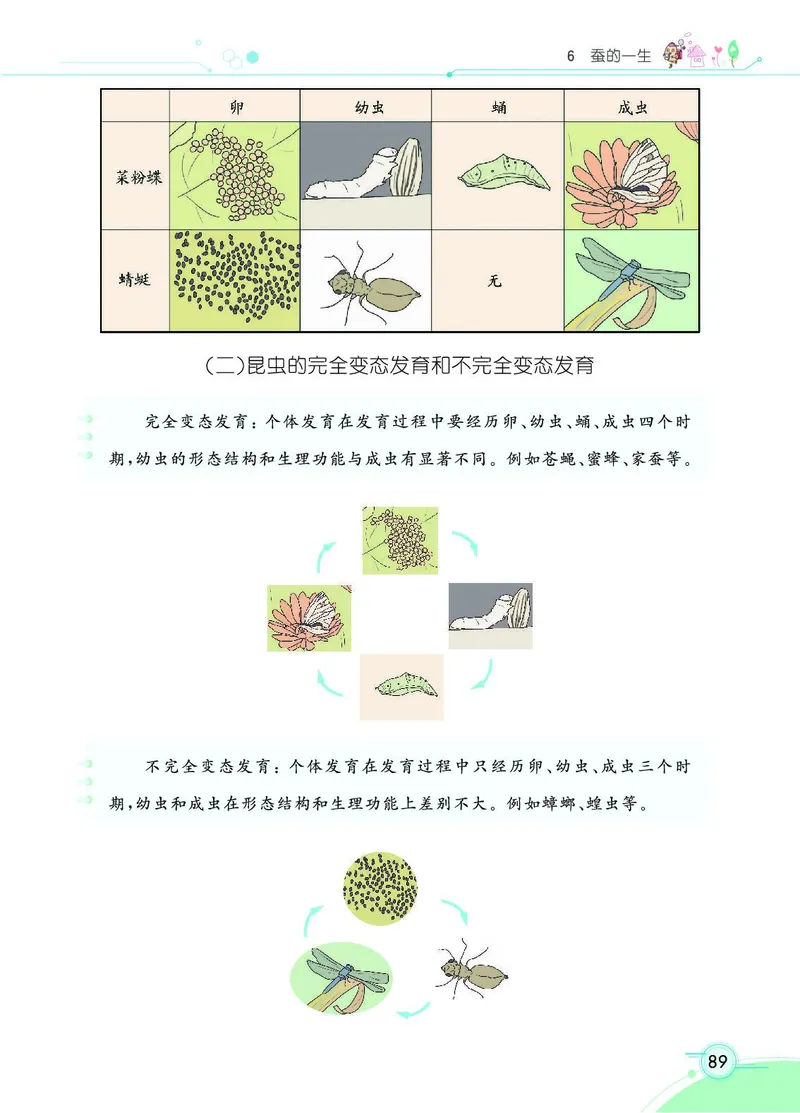 《七彩课堂》科学3年级下册（教科版）_三年级上下册资料_小学三年级学习资料-25年更新版_3-10、小学三年级科学下册_教科版_电子册类
