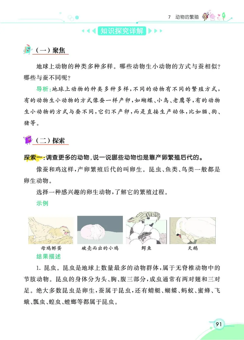 《七彩课堂》科学3年级下册（教科版）_三年级上下册资料_小学三年级学习资料-25年更新版_3-10、小学三年级科学下册_教科版_电子册类