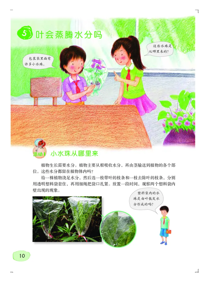 粤教版5年级科学上册高清教材_全部版本&bull;小学科学电子课本_粤教版小学科学电子课本