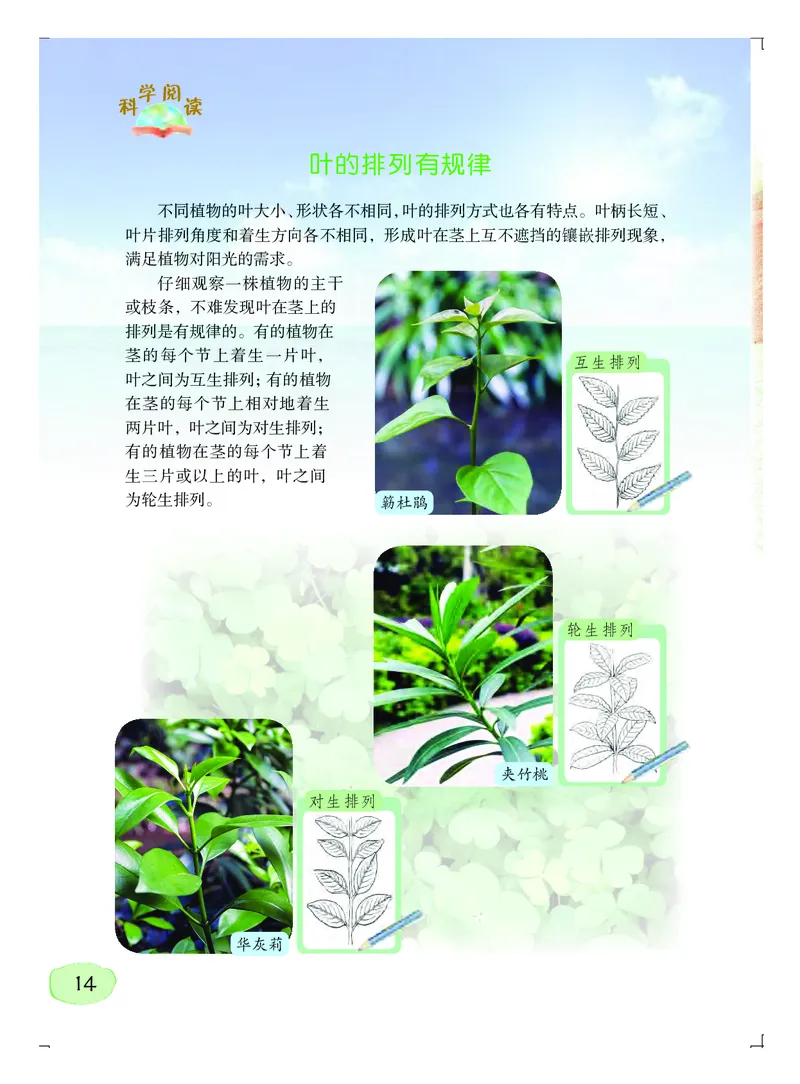 粤教版5年级科学上册高清教材_全部版本&bull;小学科学电子课本_粤教版小学科学电子课本