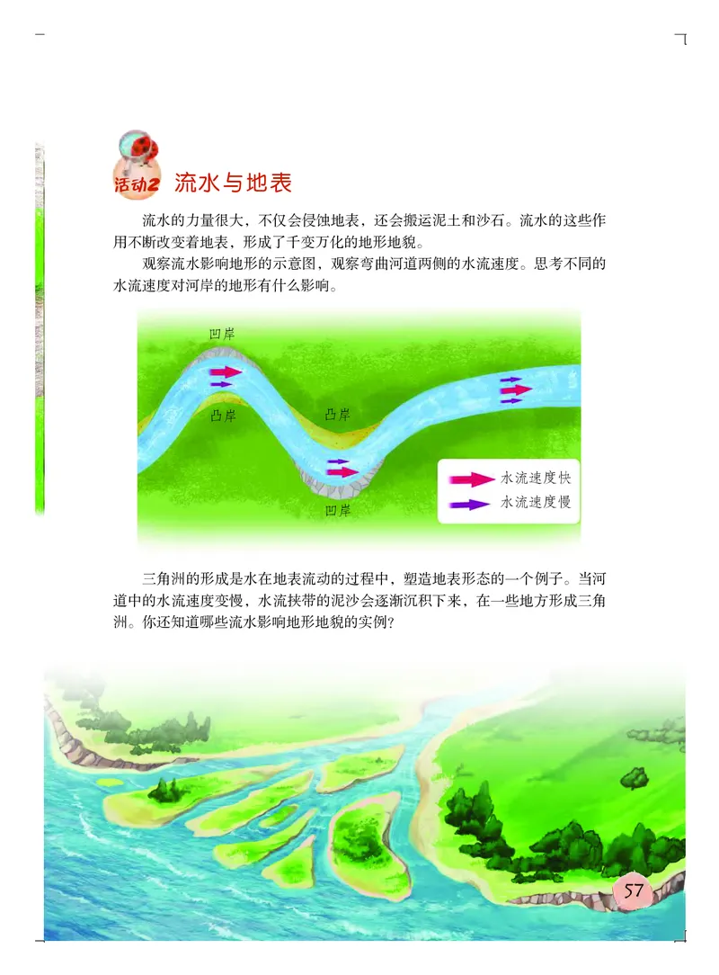 粤教版5年级科学上册高清教材_全部版本&bull;小学科学电子课本_粤教版小学科学电子课本