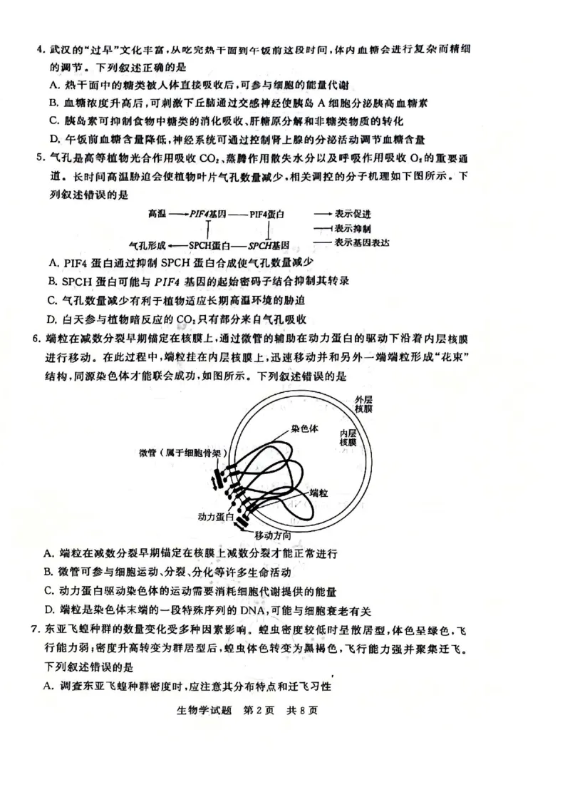 2025年12月高三T8联考生物试卷_@高三模考真题_2025年12月高三T8联考试卷及答案
