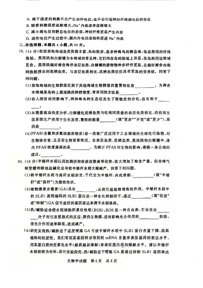 2025年12月高三T8联考生物试卷_@高三模考真题_2025年12月高三T8联考试卷及答案