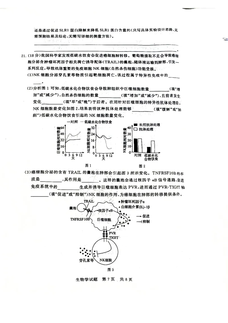 2025年12月高三T8联考生物试卷_@高三模考真题_2025年12月高三T8联考试卷及答案
