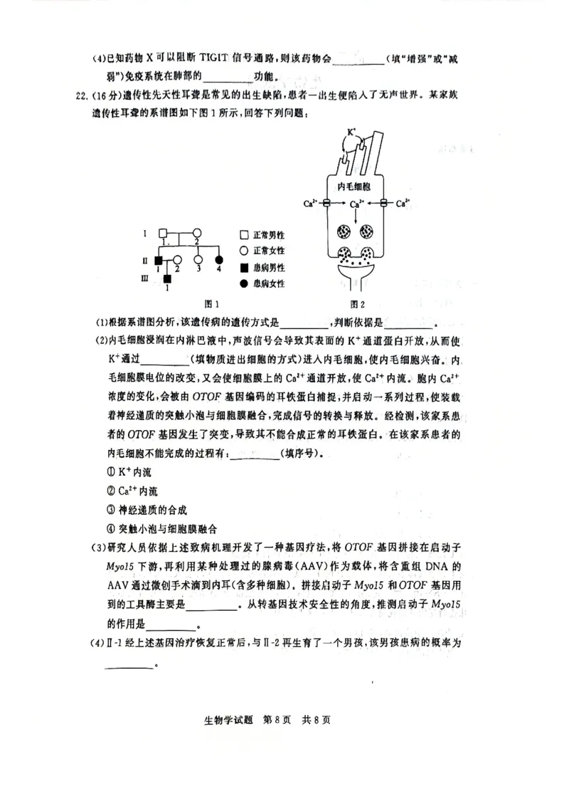 2025年12月高三T8联考生物试卷_@高三模考真题_2025年12月高三T8联考试卷及答案