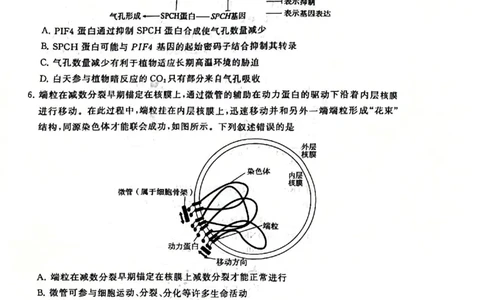 2025年12月高三T8联考生物试卷_@高三模考真题_2025年12月高三T8联考试卷及答案