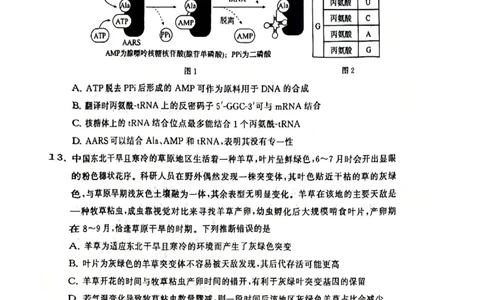 2025年12月高三T8联考生物试卷_@高三模考真题_2025年12月高三T8联考试卷及答案