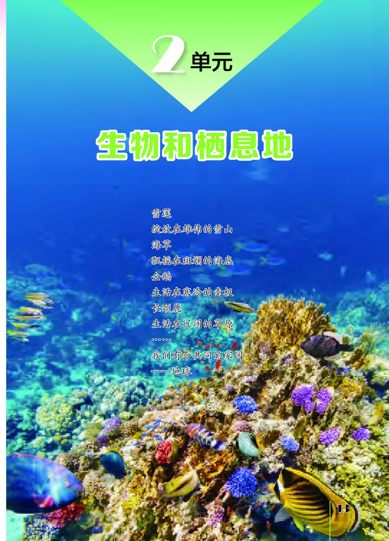 苏教版6年级科学下册高清教材_全部版本&bull;小学科学电子课本_苏教版小学科学电子课本
