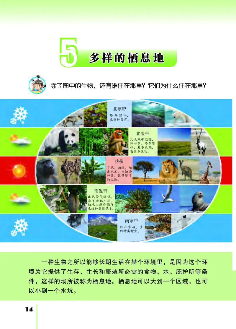 苏教版6年级科学下册高清教材_全部版本&bull;小学科学电子课本_苏教版小学科学电子课本