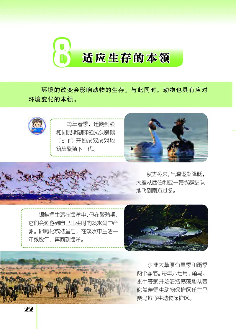 苏教版6年级科学下册高清教材_全部版本&bull;小学科学电子课本_苏教版小学科学电子课本