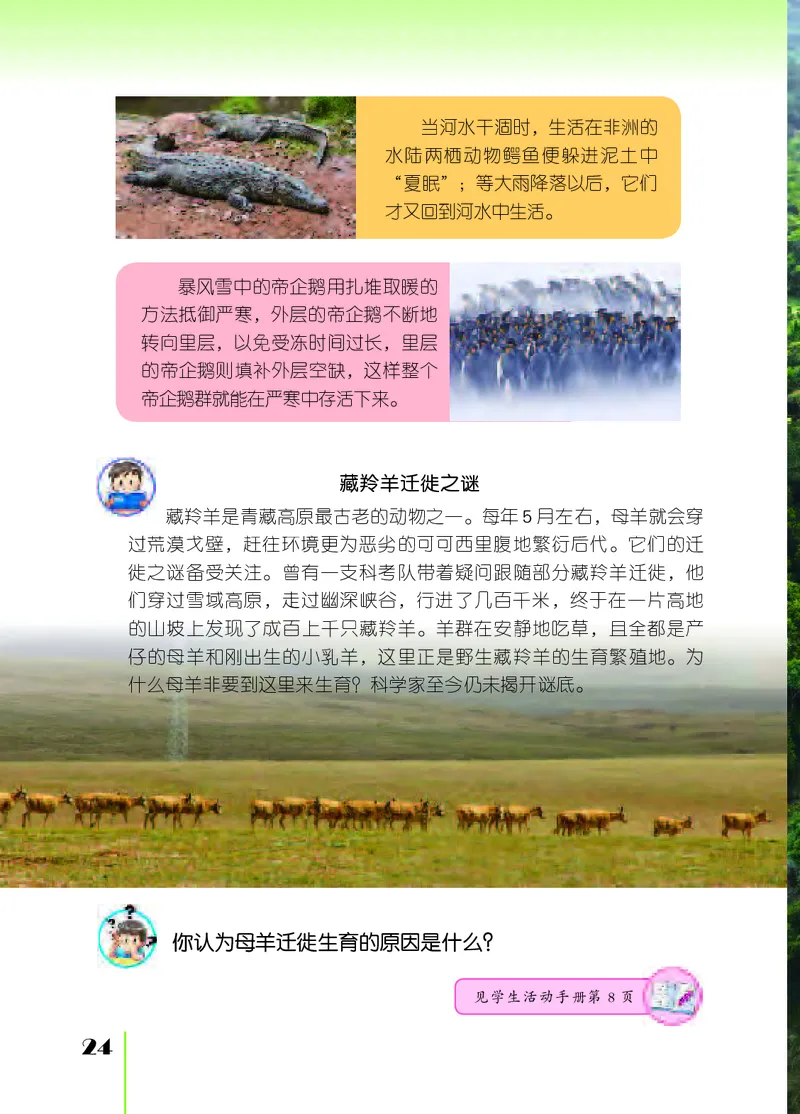 苏教版6年级科学下册高清教材_全部版本&bull;小学科学电子课本_苏教版小学科学电子课本