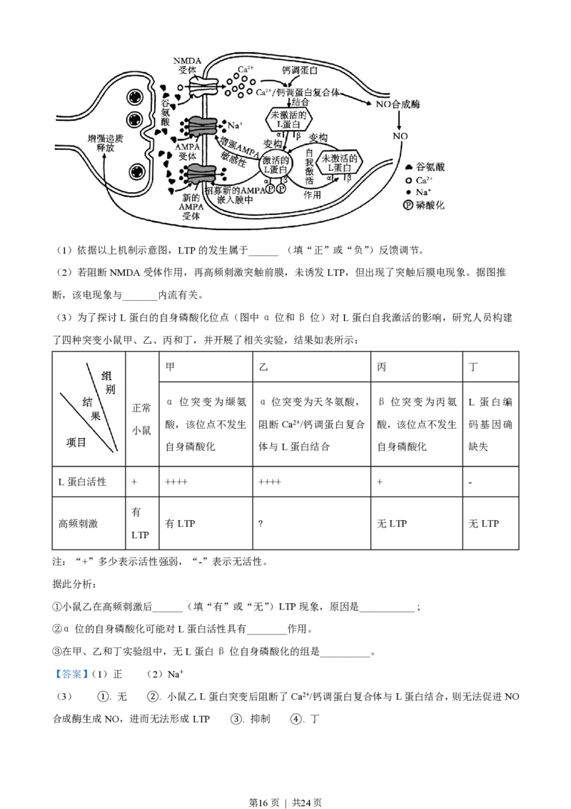 2023年高考生物试卷（湖南）（解析卷）_生物历年高考真题_新&middot;PDF版2008-2025&middot;高考生物真题_生物（按试卷类型分类）2008-2025_自主命题卷&middot;生物（2008-2025）_湖南自主命题&middot;生物（2021-2025）