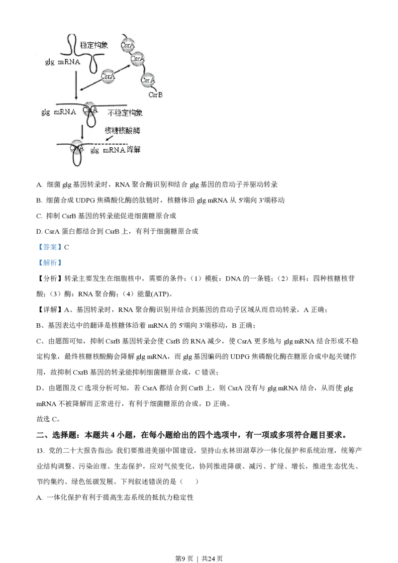 2023年高考生物试卷（湖南）（解析卷）_生物历年高考真题_新&middot;PDF版2008-2025&middot;高考生物真题_生物（按试卷类型分类）2008-2025_自主命题卷&middot;生物（2008-2025）_湖南自主命题&middot;生物（2021-2025）