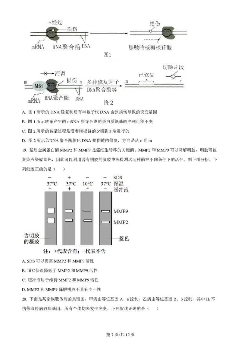 2023年高考生物试卷（辽宁）（空白卷）_生物历年高考真题_新&middot;PDF版2008-2025&middot;高考生物真题_生物（按省份分类）2008-2025_2010-2025&middot;（辽宁）生物高考真题