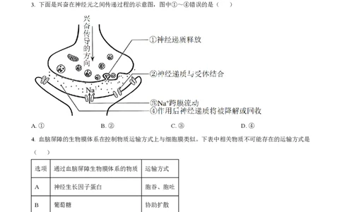 2023年高考生物试卷（辽宁）（空白卷）_生物历年高考真题_新&middot;PDF版2008-2025&middot;高考生物真题_生物（按省份分类）2008-2025_2010-2025&middot;（辽宁）生物高考真题