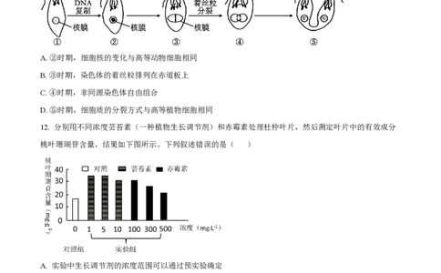 2023年高考生物试卷（辽宁）（空白卷）_生物历年高考真题_新&middot;PDF版2008-2025&middot;高考生物真题_生物（按省份分类）2008-2025_2010-2025&middot;（辽宁）生物高考真题