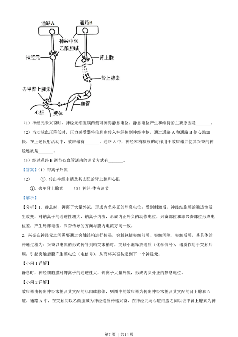 2023年高考生物试卷（全国乙卷）（解析卷）_生物历年高考真题_新&middot;PDF版2008-2025&middot;高考生物真题_生物（按省份分类）2008-2025_2008-2025&middot;（河南）生物高考真题