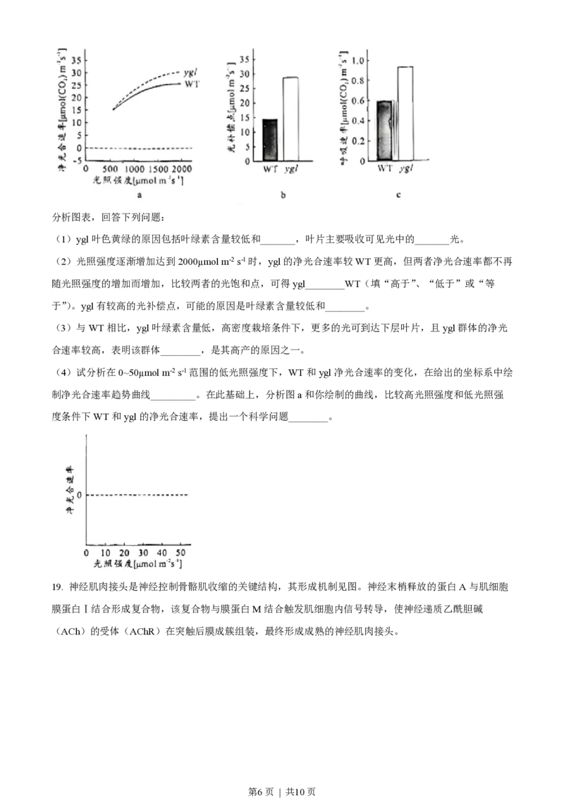2023年高考生物试卷（广东）（空白卷）_生物历年高考真题_新&middot;PDF版2008-2025&middot;高考生物真题_生物（按试卷类型分类）2008-2025_自主命题卷&middot;生物（2008-2025）