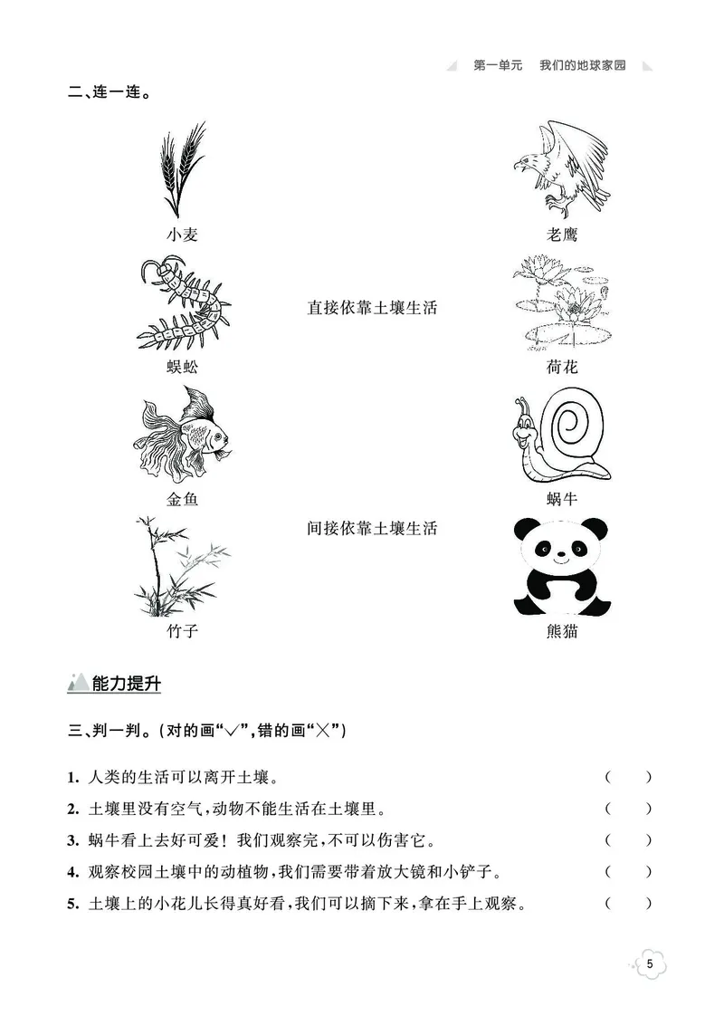 《七彩同步训练》科学2年级上册（教科版）_二年级上下册资料_小学二年级学习资料-25年更新版_2-09、小学二年级科学上册_教科版_电子册类