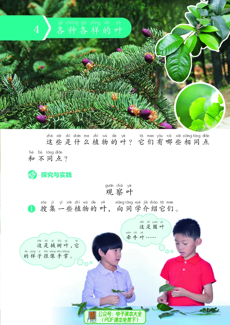 科学一下人教鄂教版（2025春）_小学全网线上同款资料_2025春新增教材合集_小学科学（2025春新教材）