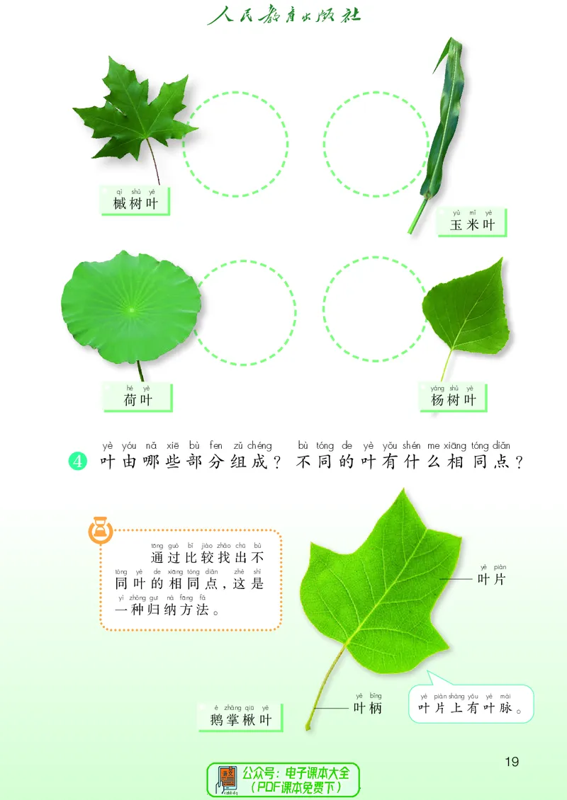 科学一下人教鄂教版（2025春）_小学全网线上同款资料_2025春新增教材合集_小学科学（2025春新教材）