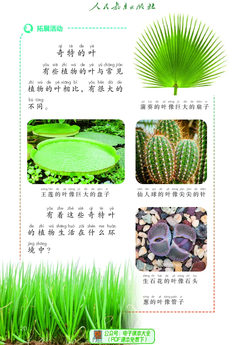 科学一下人教鄂教版（2025春）_小学全网线上同款资料_2025春新增教材合集_小学科学（2025春新教材）