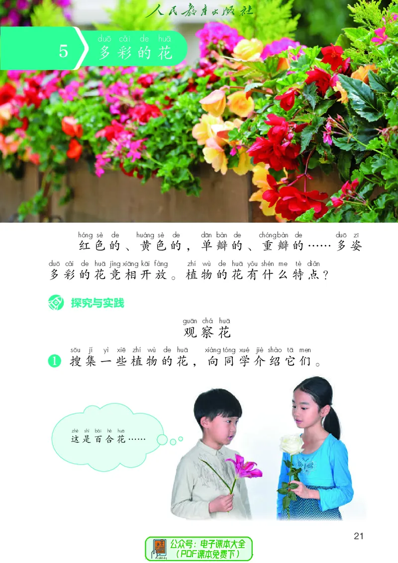 科学一下人教鄂教版（2025春）_小学全网线上同款资料_2025春新增教材合集_小学科学（2025春新教材）