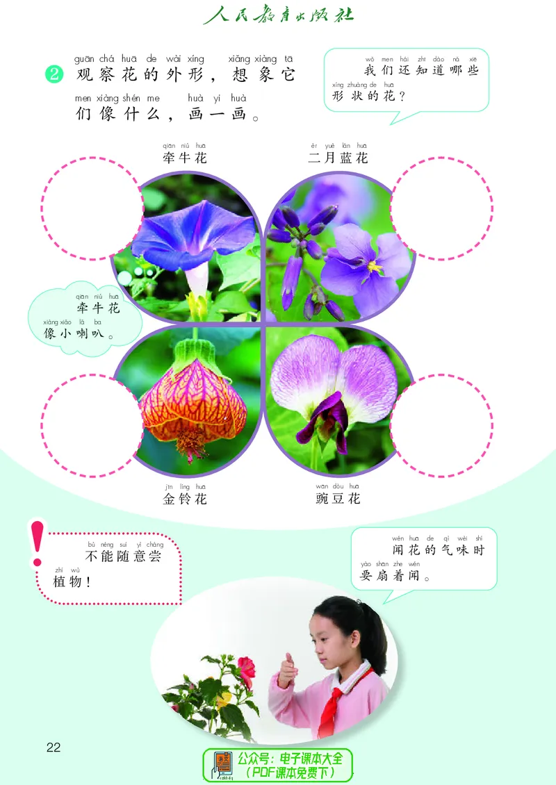 科学一下人教鄂教版（2025春）_小学全网线上同款资料_2025春新增教材合集_小学科学（2025春新教材）