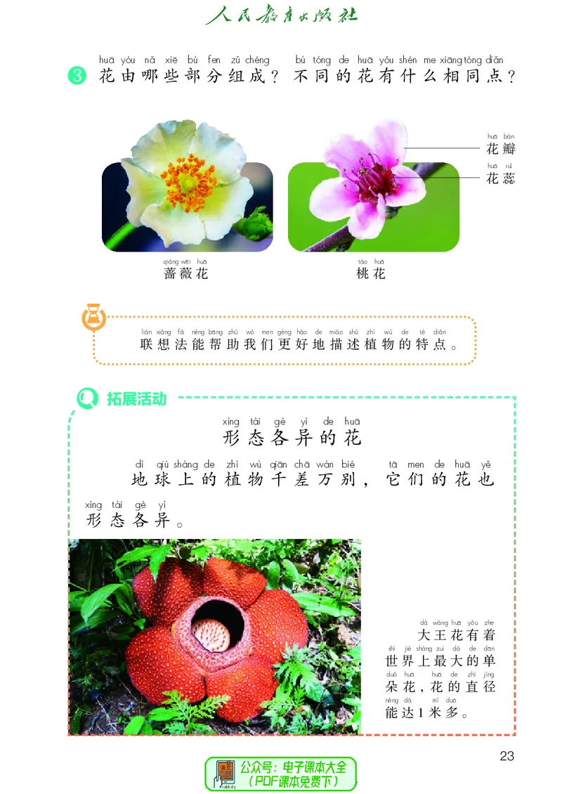 科学一下人教鄂教版（2025春）_小学全网线上同款资料_2025春新增教材合集_小学科学（2025春新教材）