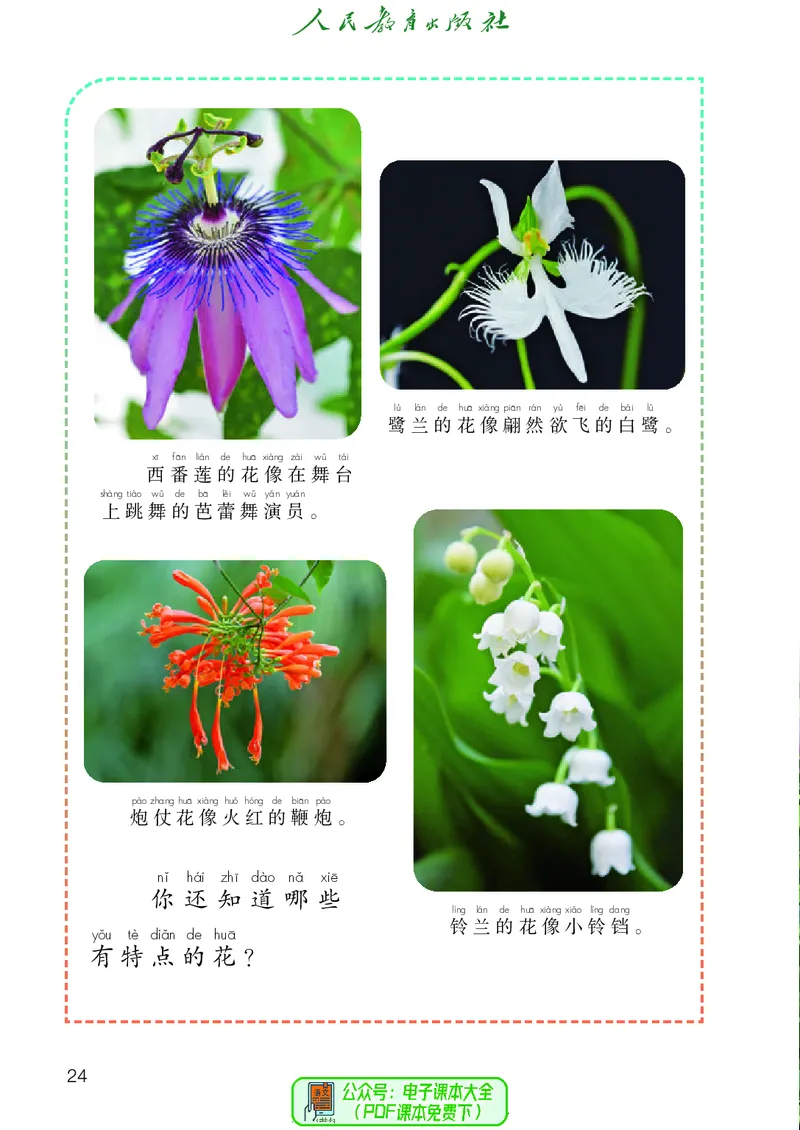 科学一下人教鄂教版（2025春）_小学全网线上同款资料_2025春新增教材合集_小学科学（2025春新教材）