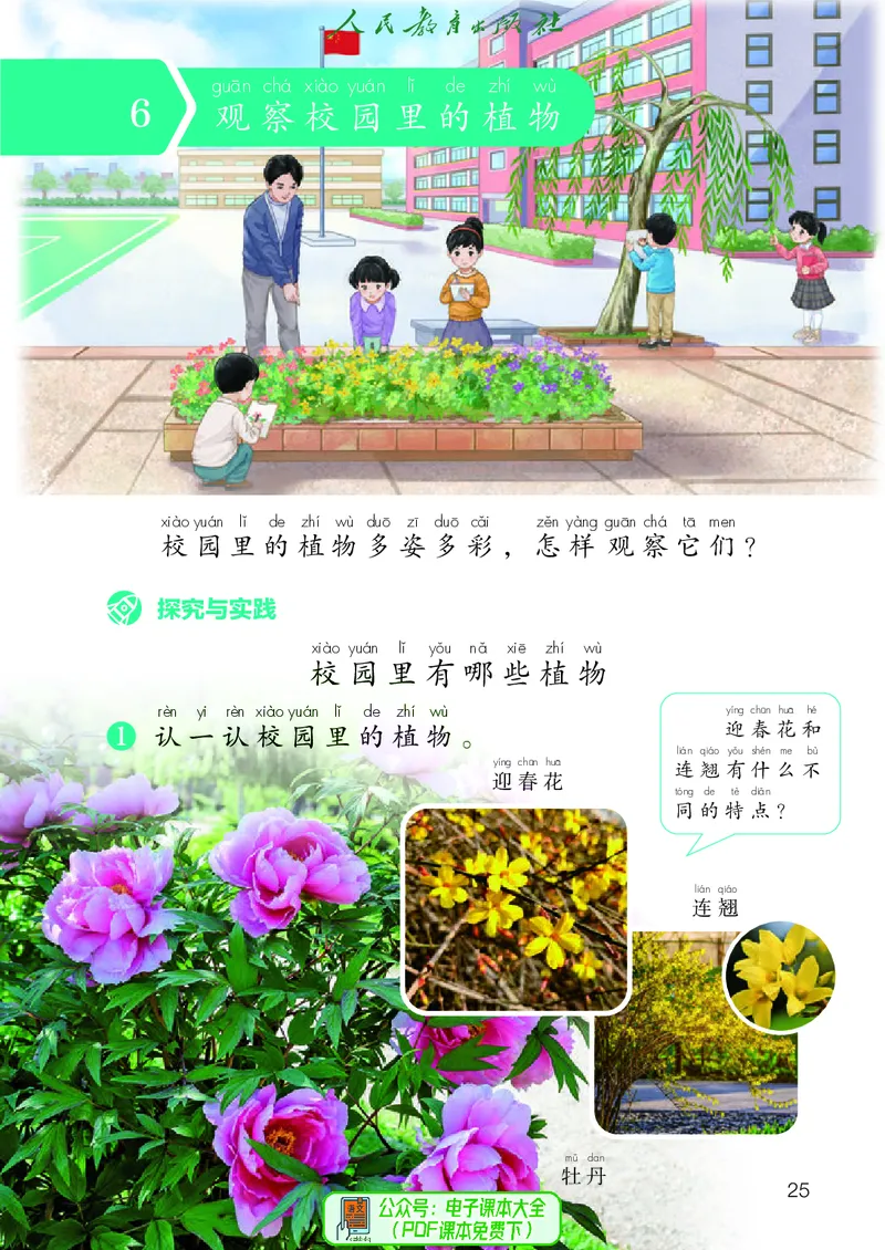 科学一下人教鄂教版（2025春）_小学全网线上同款资料_2025春新增教材合集_小学科学（2025春新教材）