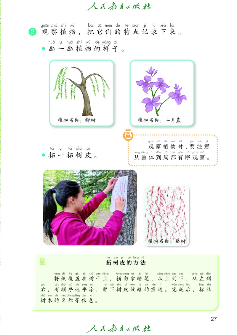 科学一下人教鄂教版（2025春）_小学全网线上同款资料_2025春新增教材合集_小学科学（2025春新教材）