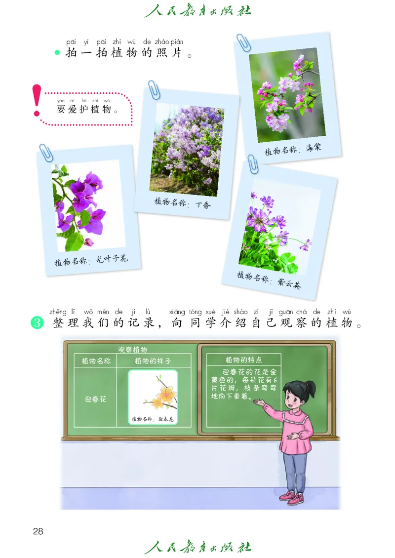 科学一下人教鄂教版（2025春）_小学全网线上同款资料_2025春新增教材合集_小学科学（2025春新教材）