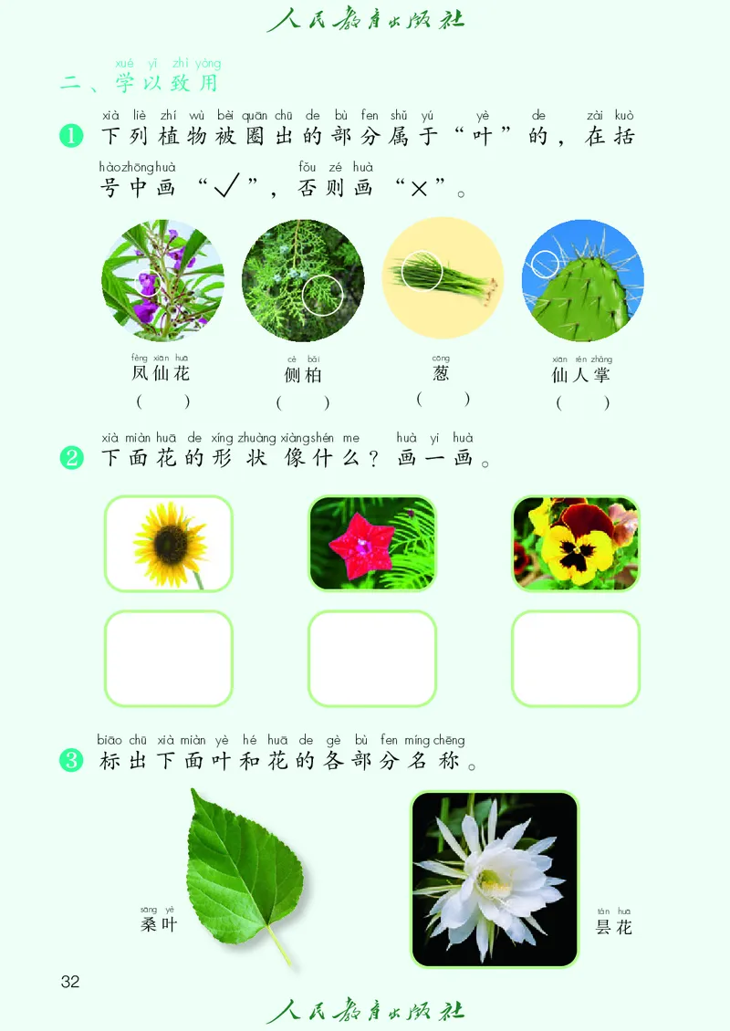 科学一下人教鄂教版（2025春）_小学全网线上同款资料_2025春新增教材合集_小学科学（2025春新教材）