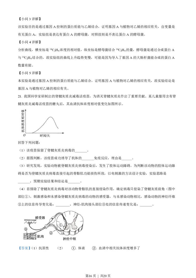 2023年高考生物试卷（湖北）（解析卷）_生物历年高考真题_新&middot;PDF版2008-2025&middot;高考生物真题_生物（按省份分类）2008-2025_2008-2025&middot;（湖北）生物高考真题