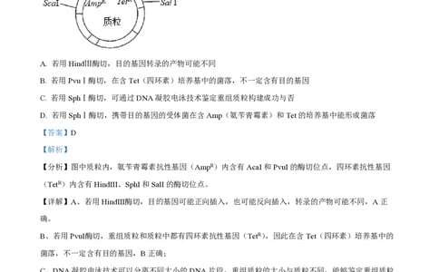 2023年高考生物试卷（湖北）（解析卷）_生物历年高考真题_新&middot;PDF版2008-2025&middot;高考生物真题_生物（按省份分类）2008-2025_2008-2025&middot;（湖北）生物高考真题
