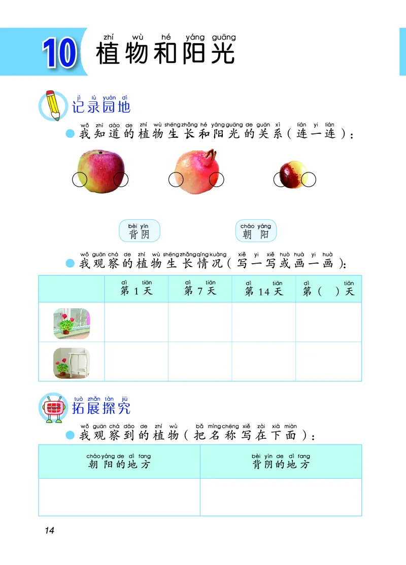 青岛版2年级科学上册活动手册_全部版本&bull;小学科学电子课本_青岛版63制小学科学课本