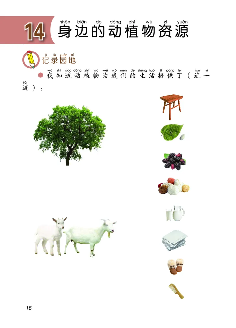 青岛版2年级科学上册活动手册_全部版本&bull;小学科学电子课本_青岛版63制小学科学课本