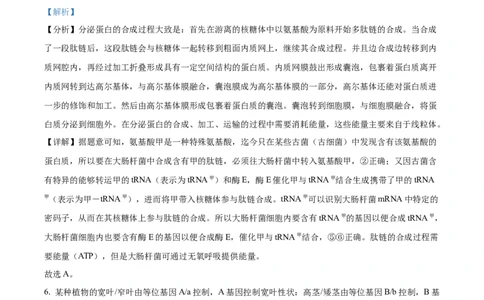 2023年高考生物试卷（全国乙卷）（解析卷）_生物历年高考真题_新&middot;Word版2008-2025&middot;高考生物真题_生物（按省份分类）2008-2025_2010-2025&middot;（宁夏）生物高考真题