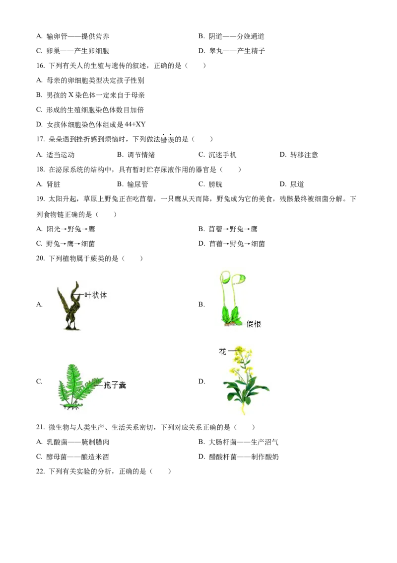 2024年福建省中考生物真题（空白卷）_福建中考1_6.福建中考生物（2017-2025）