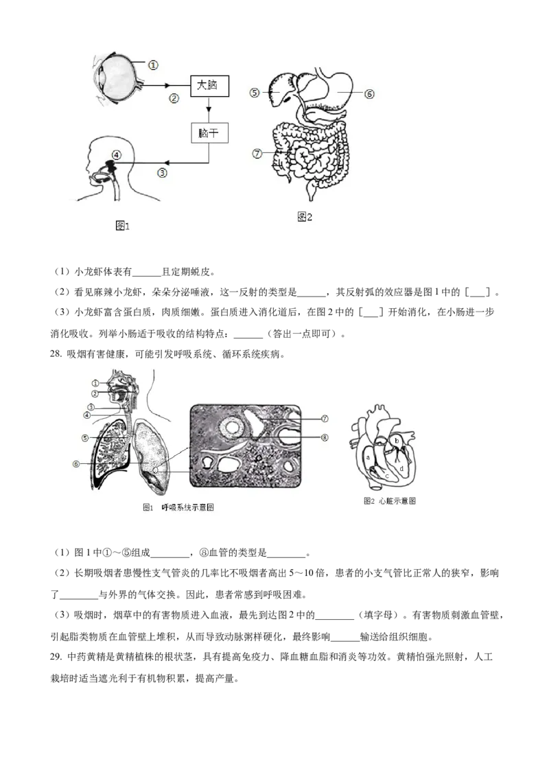 2024年福建省中考生物真题（空白卷）_福建中考1_6.福建中考生物（2017-2025）