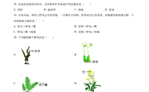 2024年福建省中考生物真题（空白卷）_福建中考1_6.福建中考生物（2017-2025）