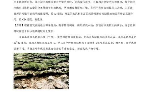 2023年高考地理试卷（新课标）（解析卷）_地理历年高考真题_新&middot;PDF版2008-2025&middot;高考地理真题_地理（按年份分类）2008-2025_2023&middot;地理高考真题