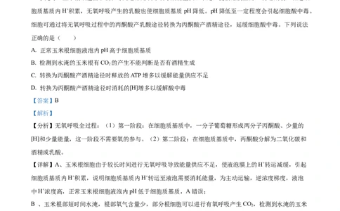 2023年高考生物试卷（山东）（解析卷）_生物历年高考真题_新&middot;Word版2008-2025&middot;高考生物真题_生物（按试卷类型分类）2008-2025_自主命题卷&middot;生物（2008-2025）