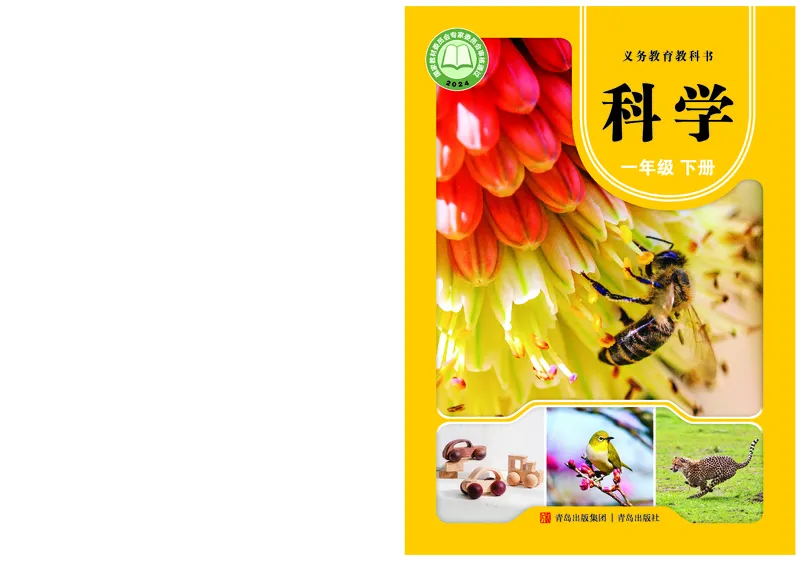 科学一下青岛版六三制（2025春）_小学全网线上同款资料_2025春新增教材合集_小学科学（2025春新教材）